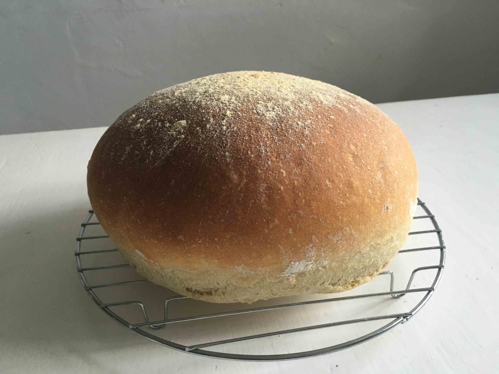 Bread 1